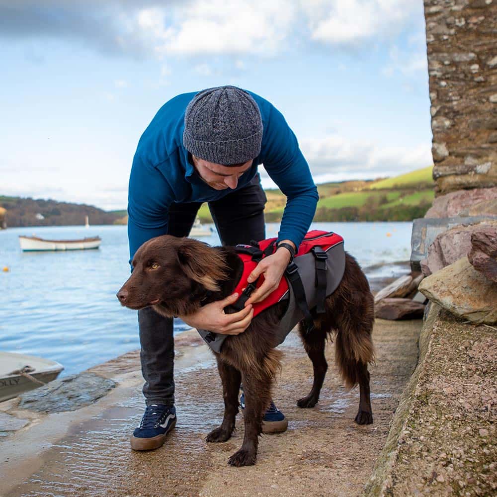Red-accessories_0000_Dog-pfd