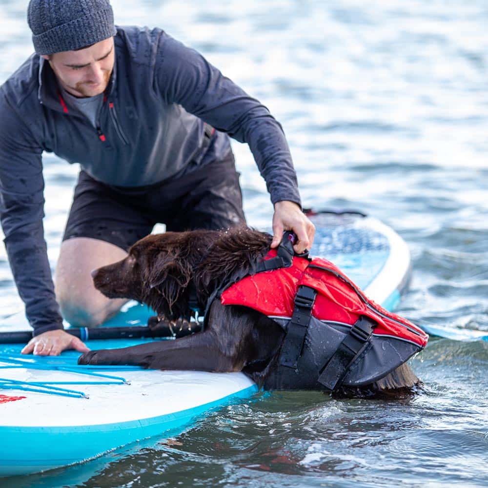 Red-accessories_0003_Dog-pfd